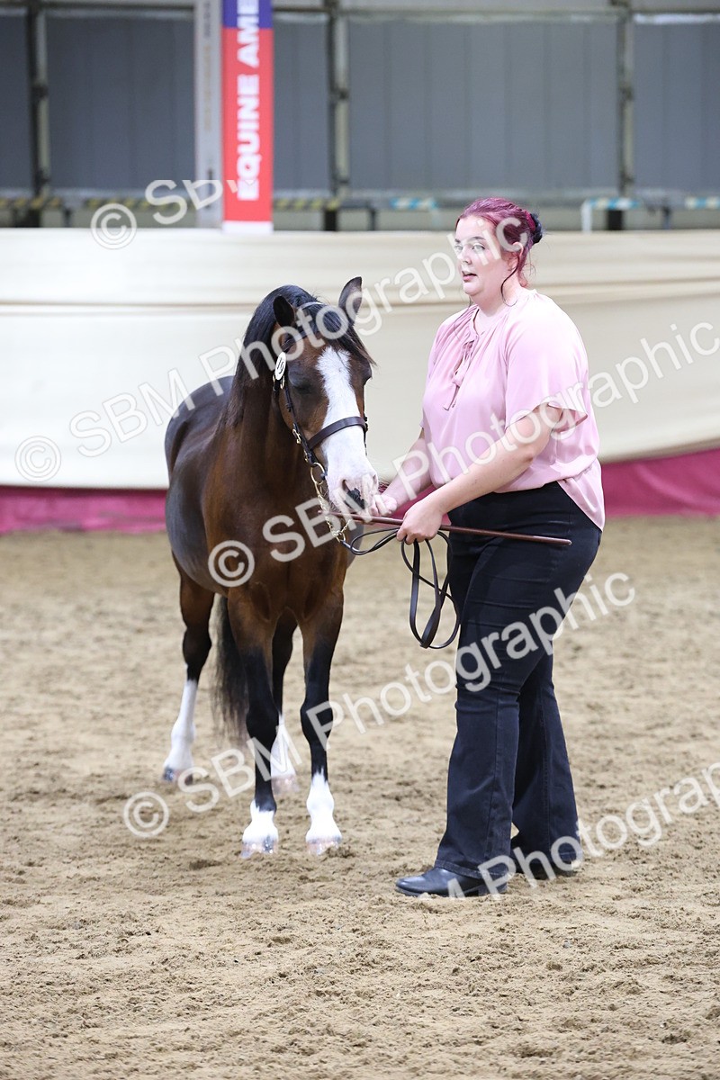 SBM_20171 - Class C - Novalty Champ