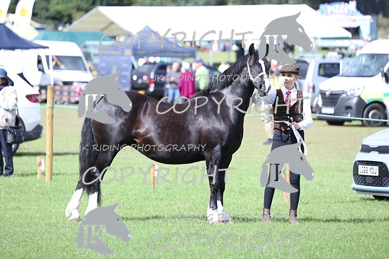 APP_2789 - Class 10a/b M&M in hand