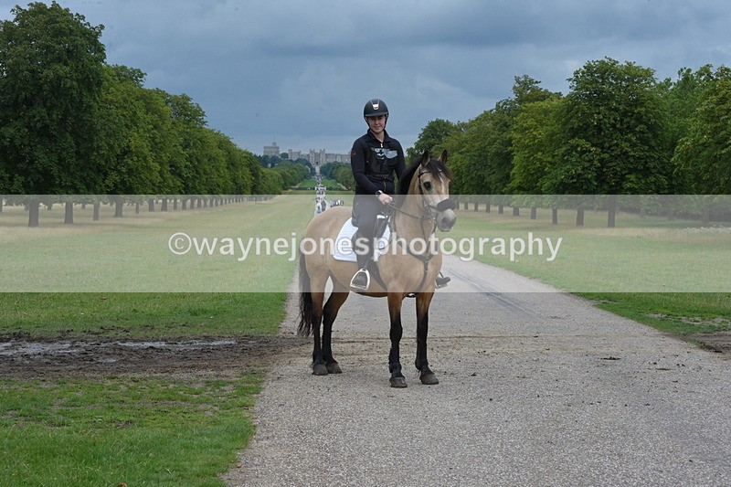 TT3_9323 - Time at Crossing 09:22 to 11:26