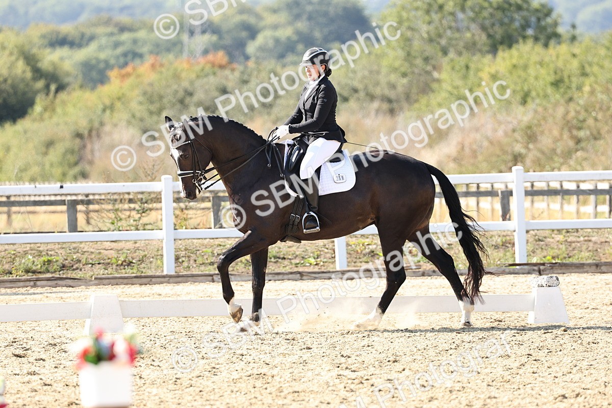 SBM_015342 - Class 9 - Advanced medium 3