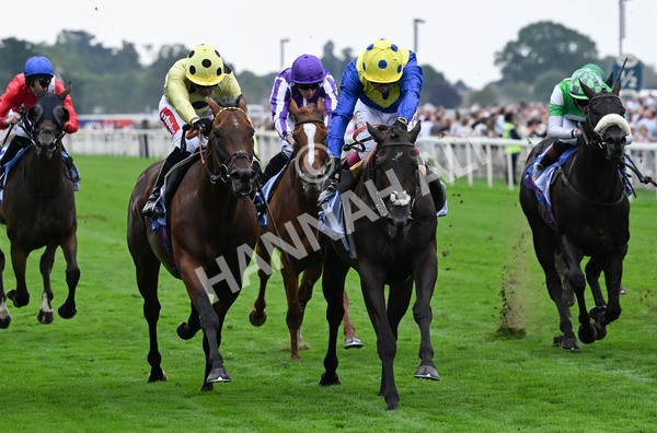 230825-074 Never So Brave - Race 3 3.00pm Sky Bet City Of York Stakes