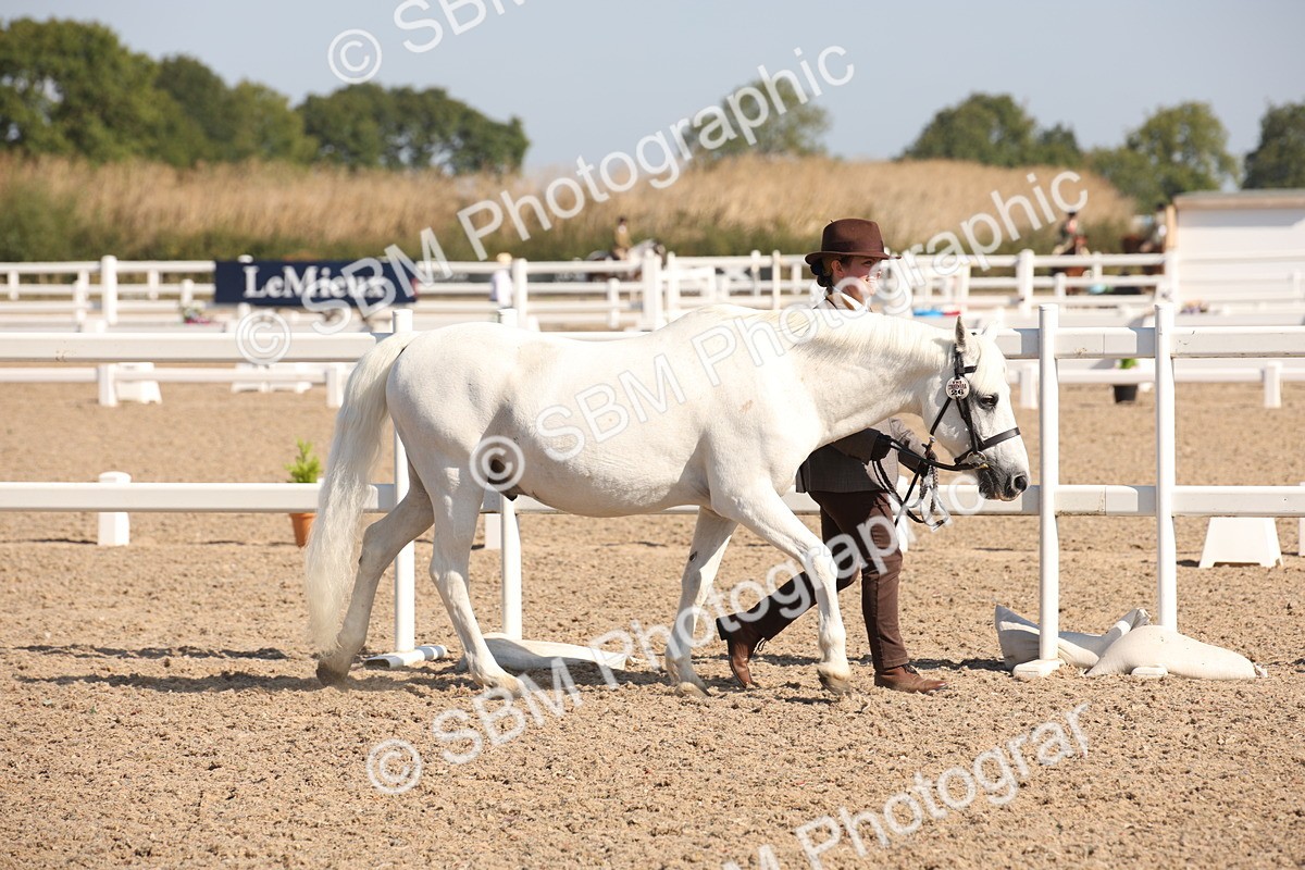 SBM_02655 - Class 16 IH M&M Wildcard