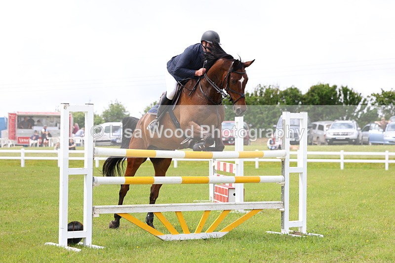 3E7A7151 - Class 12: Senior Foxhunter/1.20 open