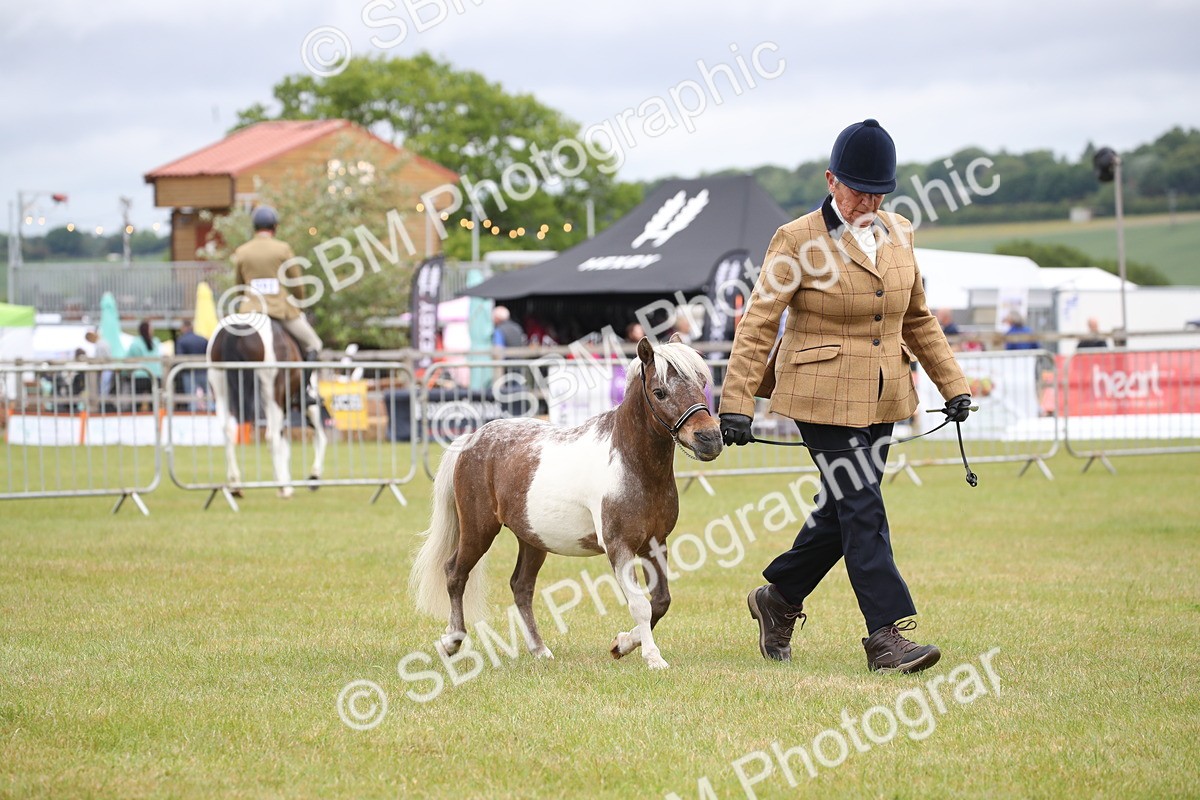 SBM_03797 - Class 23-25 - British Miniature Horse of the Year