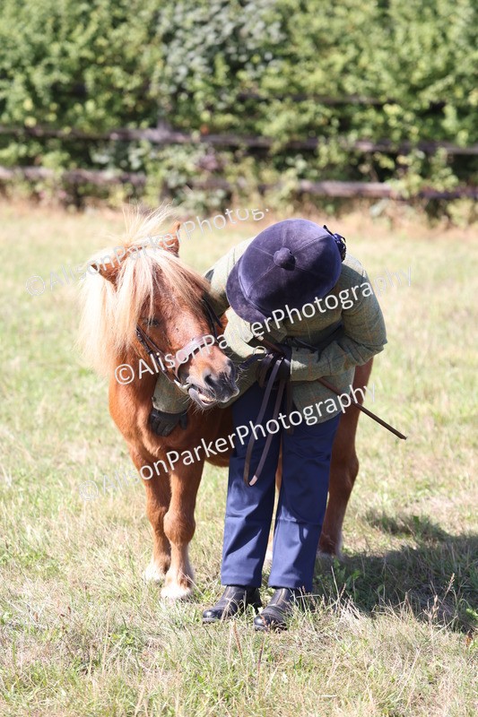 20260906-2013 - Class 24 - Child Handler