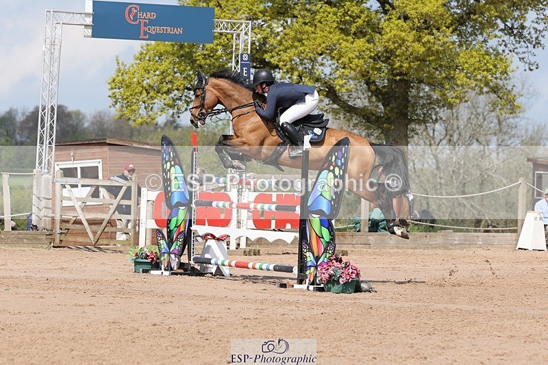250427-113532-16003 - Cls 36 Young Horse 7yr old