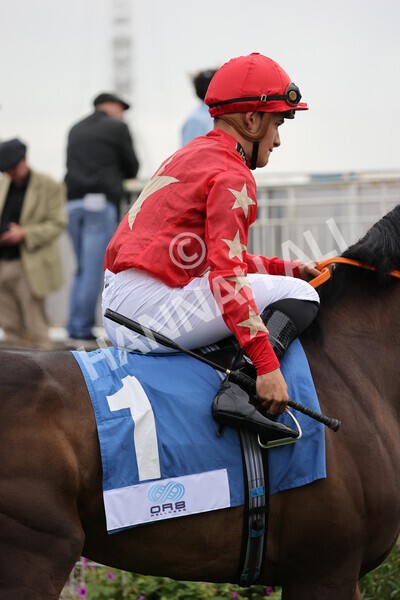 yr19082021r5-12 - Race 5 4.10pm OR8wellness ebfstallions Nursery Handicap
