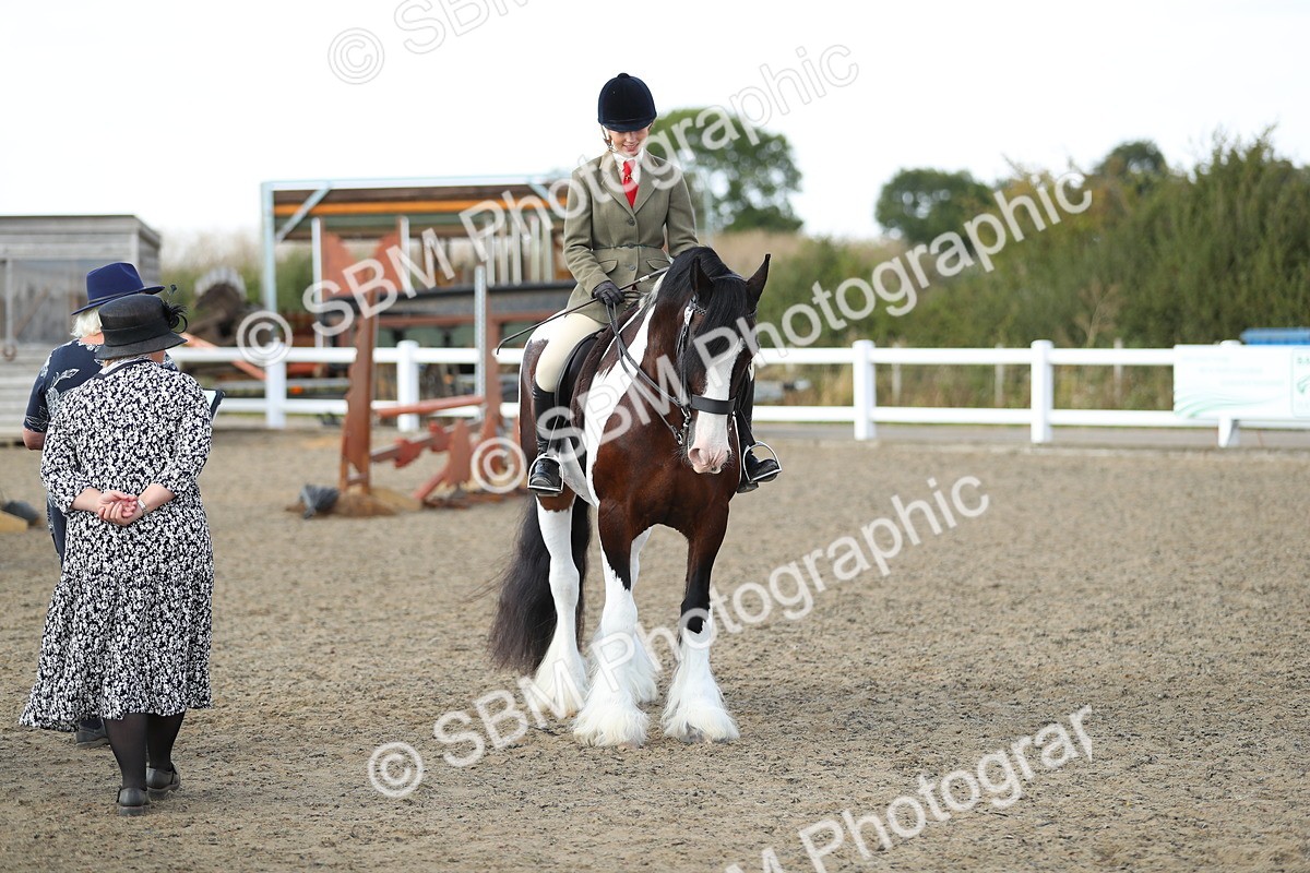 SBM_06966 - Class 49b Style & Performance 80cm (20+)