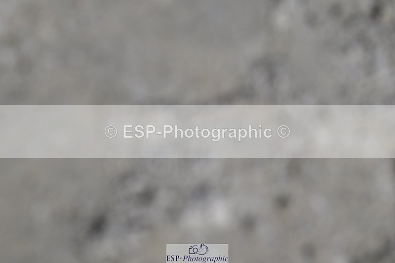 250823A-122733-28834 - WC Round 2 70+ 12.44 to 13.10