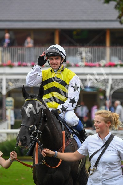 100923-Race 5-Commanche Falls-0933 - Race 5 3.50pm BetGoodwin Garrowby Stakes