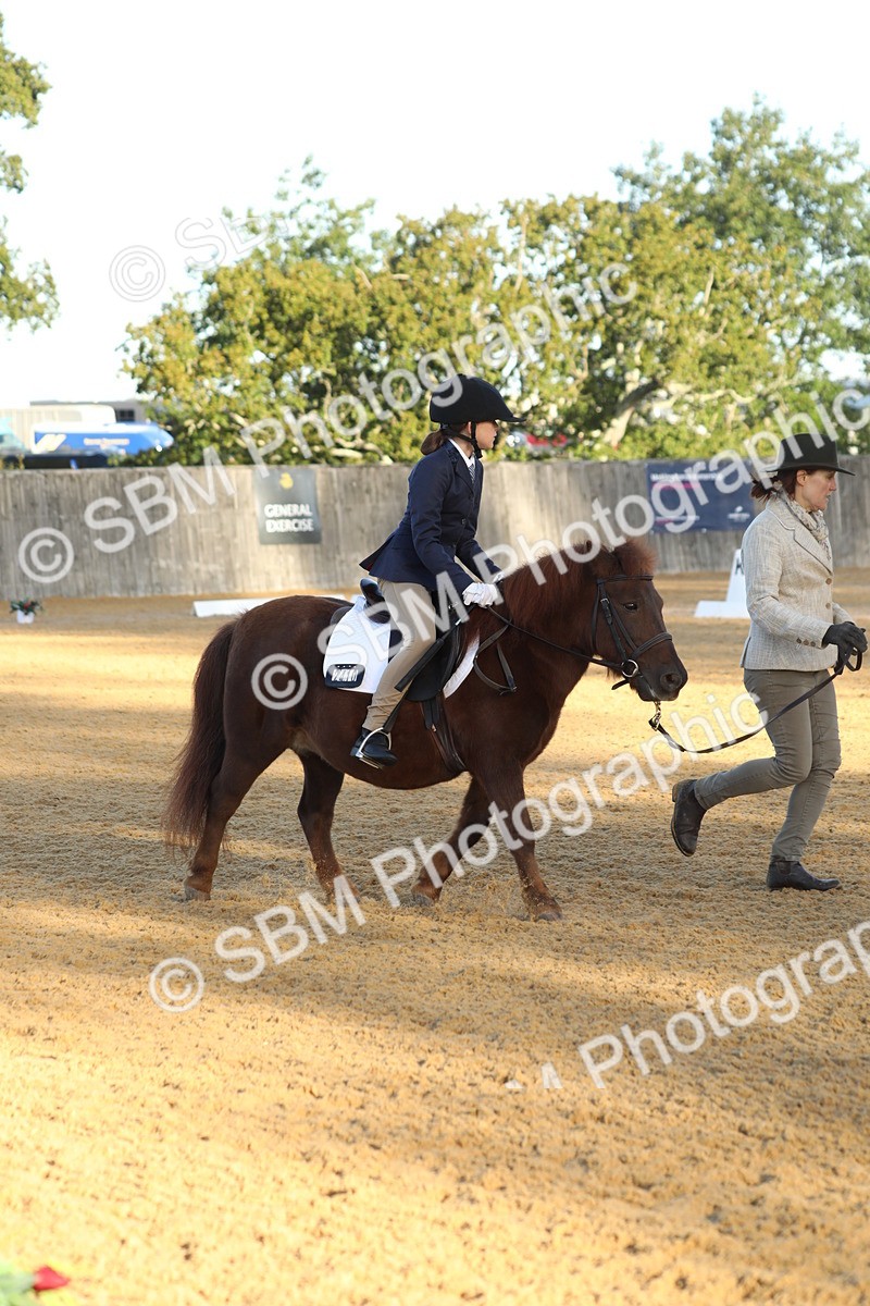 SBM_33621 - D26 - Starers - Lead Rein