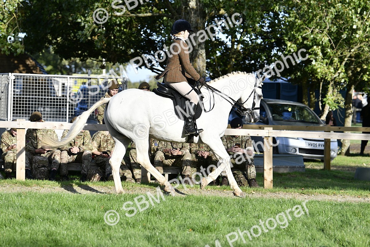 SBM_53503 - S14 - Riding Club Horse