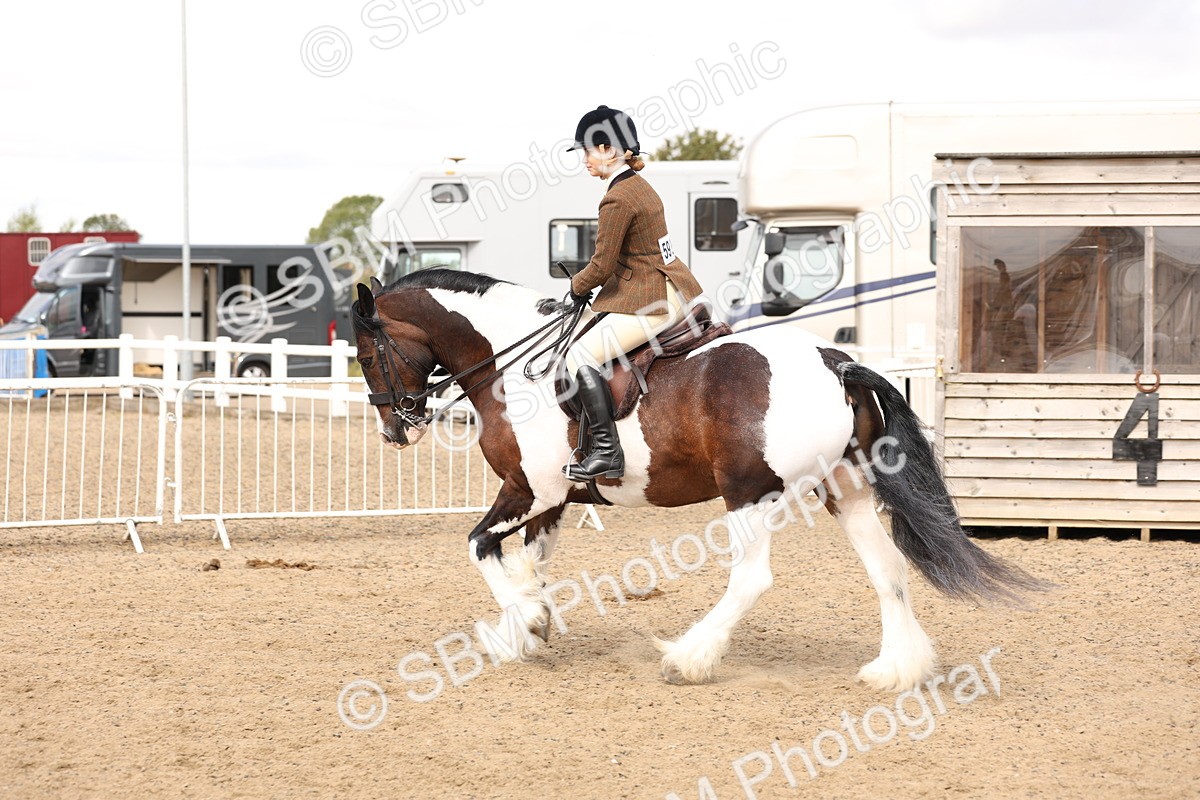 SBM_04267 - Class 54 - Riding Club Horse/Pony