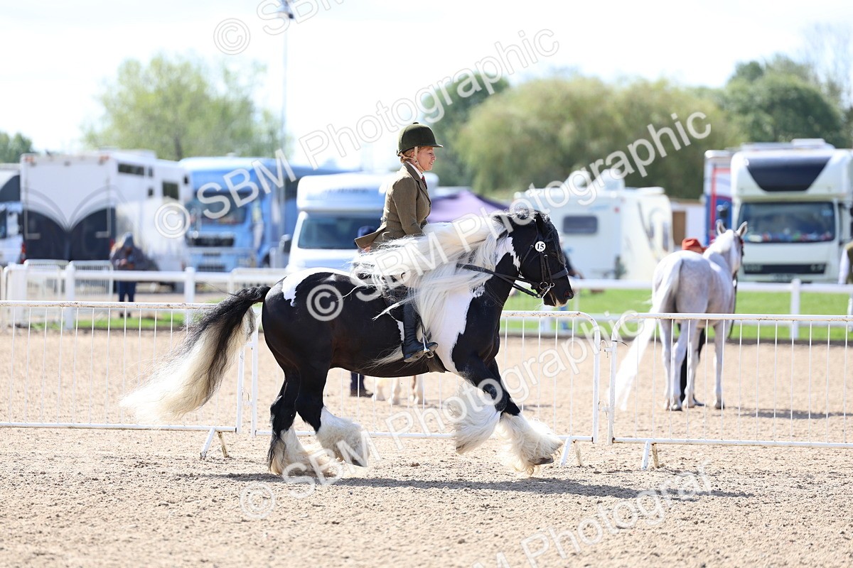 SBM_11452