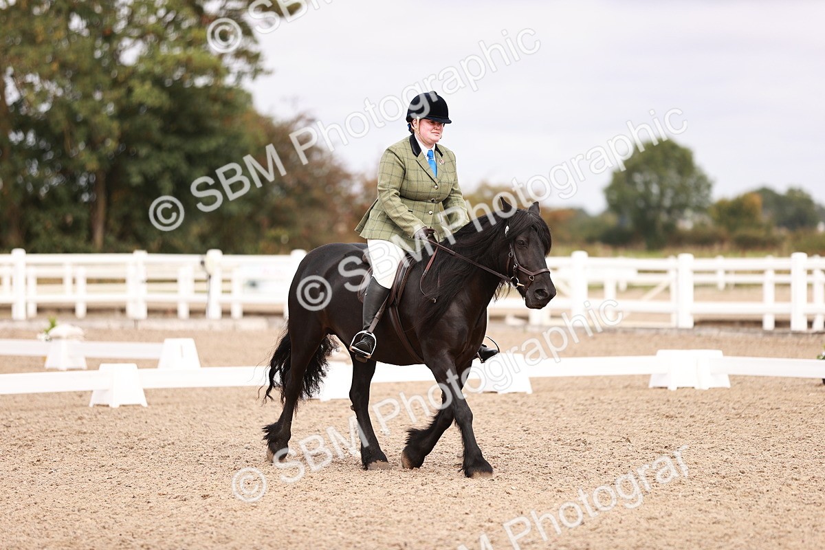 SBM_02450 - Class 35 - Intro 3