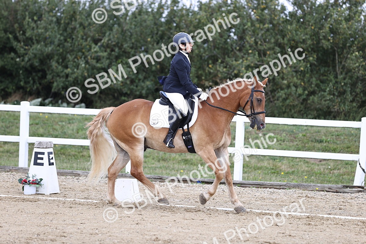 SBM_016773 - Class 14 Novice 23 - 11.53-12.56
