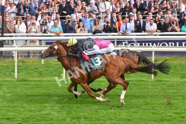 yr20082021r2-58 - Race 2 2.25pm Weatherbys Hamilton Lonsdale Cup (British Champion Series race)