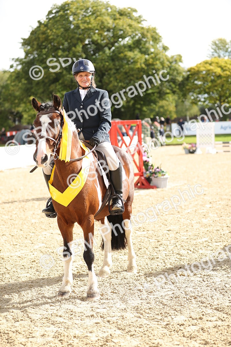 SBM_02039 - J34 - Veteran Rider 50cm