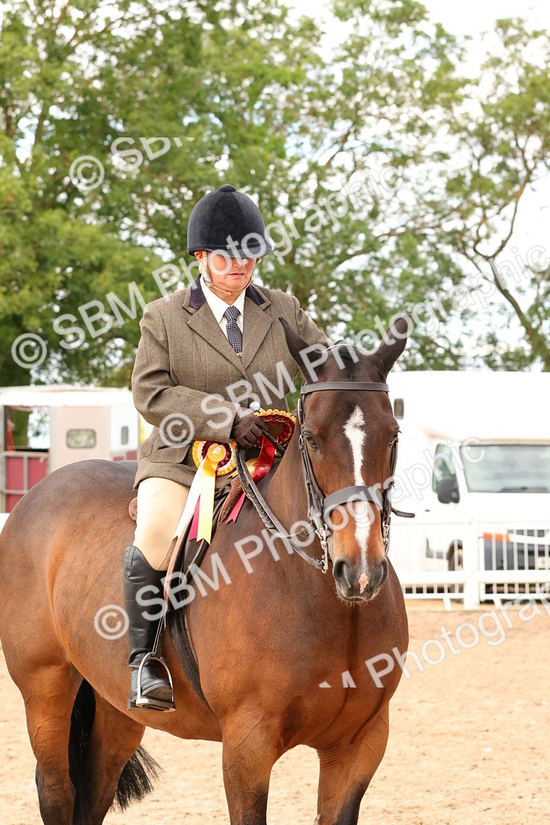 SBM_15595 - Class 214 - Ridden Show Cob