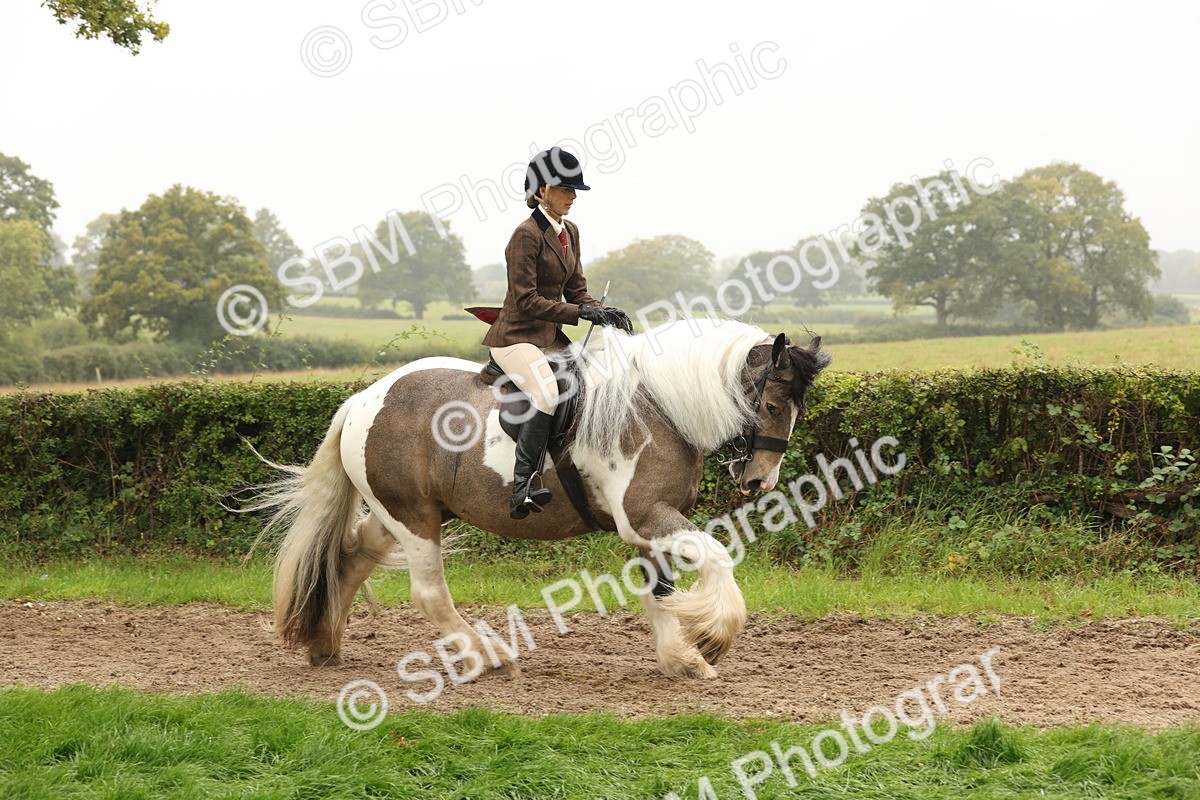 SBM_72714 - S70 - Traditional Cob Ridden
