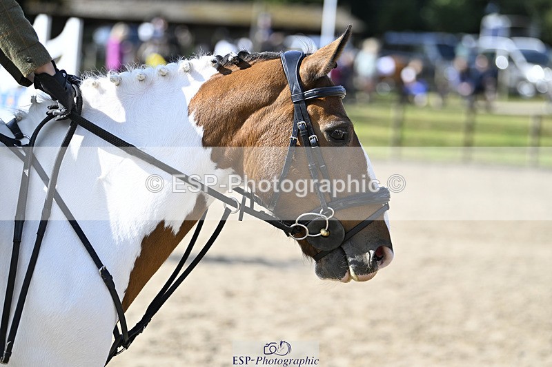 240823X-100627-15055 - 60cm R2 9.30 to 11.00