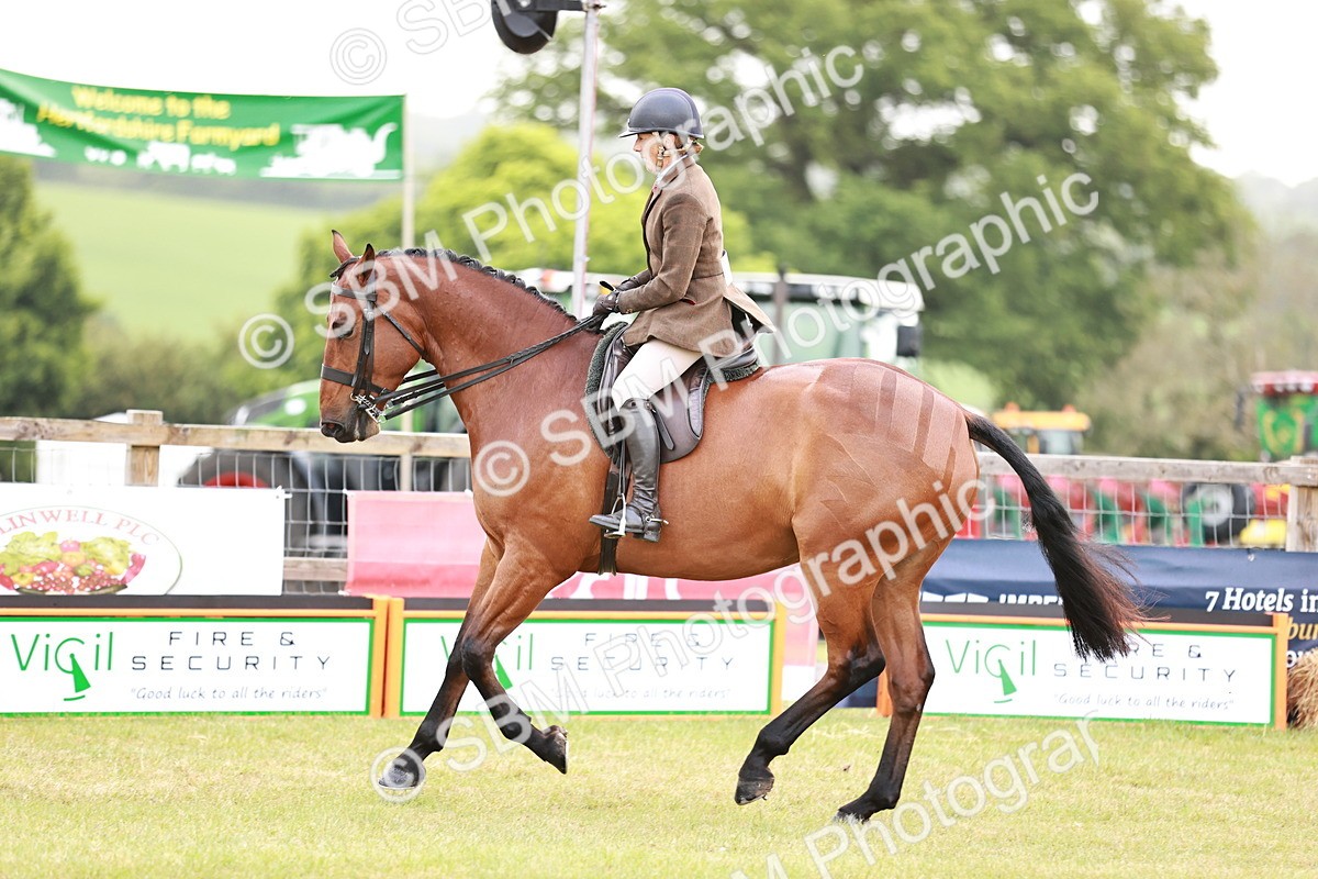 SBM_10775 - Class 81-84 - RIHS Ridden hunters Inc Ladies Hunter