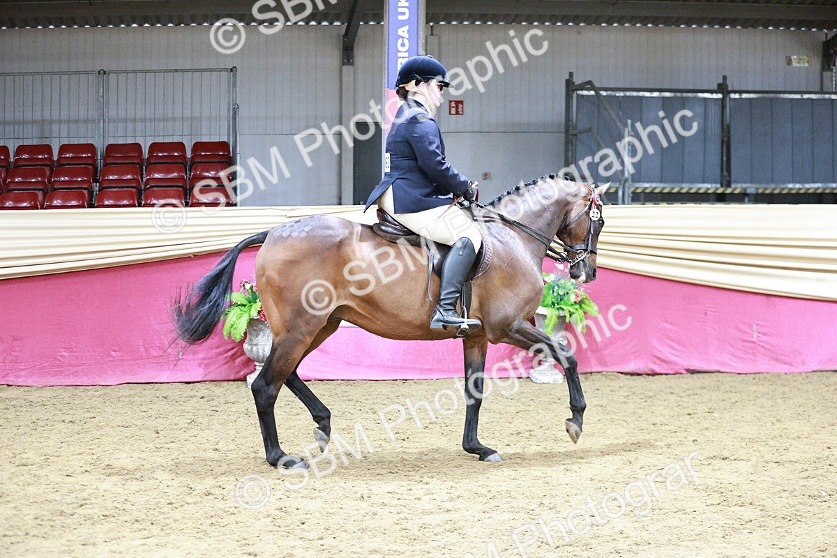 SBM_08408 - Class 11R - Regional Ridden Veteran