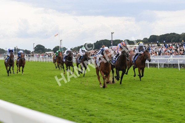 250823-Race 3-Lake Forest-0489 - Race 3 3.00pm Al Basti Equiworld Dubai Gimcrack Stakes