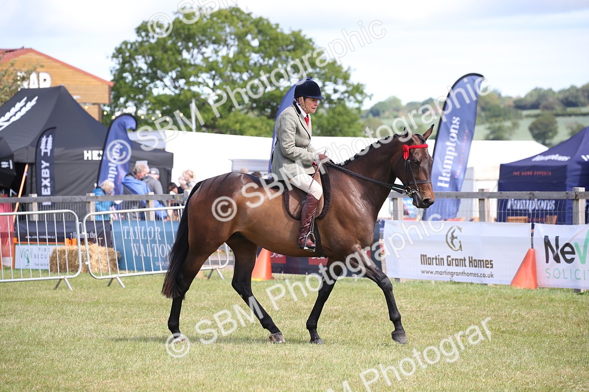 SBM_13309 - Class 95-96 - LIHS BSHA Rising Star Hack Riding Horse