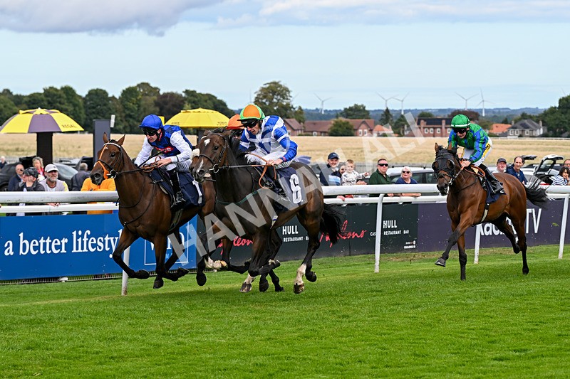 160926-Race 2-Northern Viola-9715 - Race 2 2.43pm Young Guns Nursery Handicap