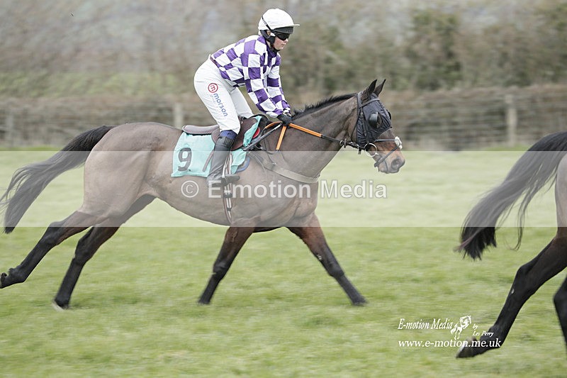 PtP 050323 397 - Blackmore & Sparkford Vale Hunt PtP - Somerset 05/03/23