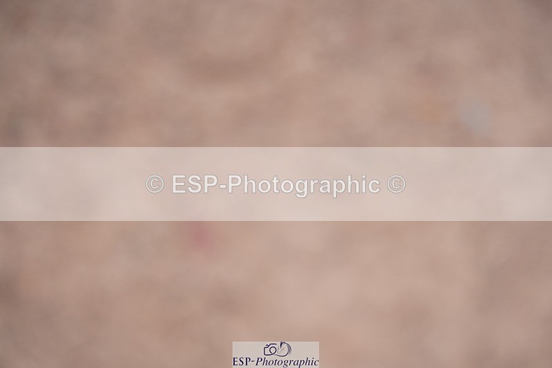 240802A-125632-04499 - Cls 17 Grade C Champs