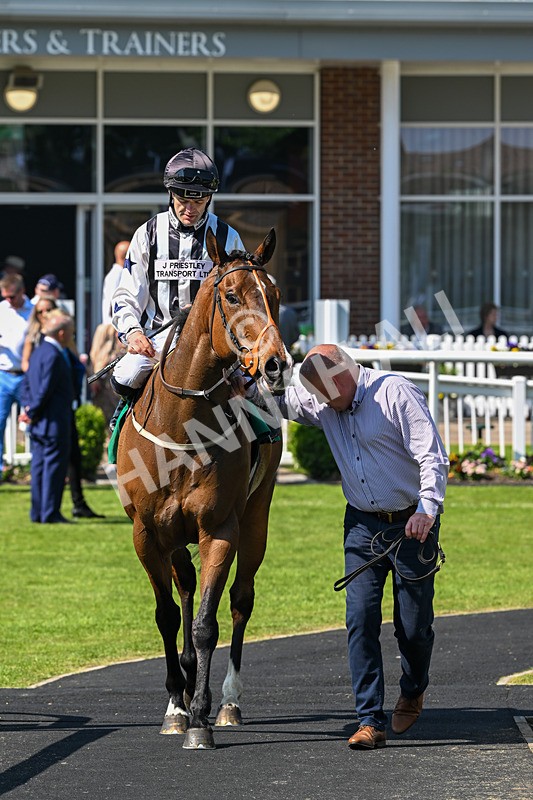 180524-Race 3-Burning Cash-9435 - Race 3