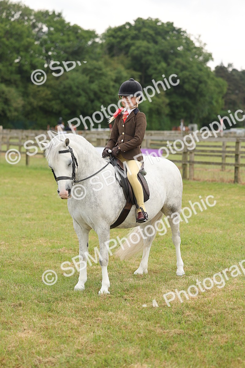 SBM_06885 - Class 74-75 - M&M Lead Rein and First Ridden Pony