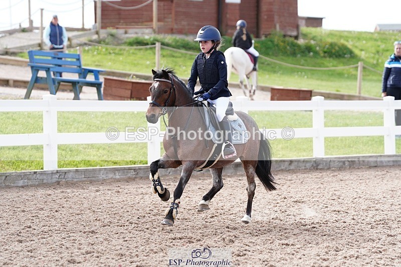 250505-092554-04083 - Cls 12 Stepping Stones