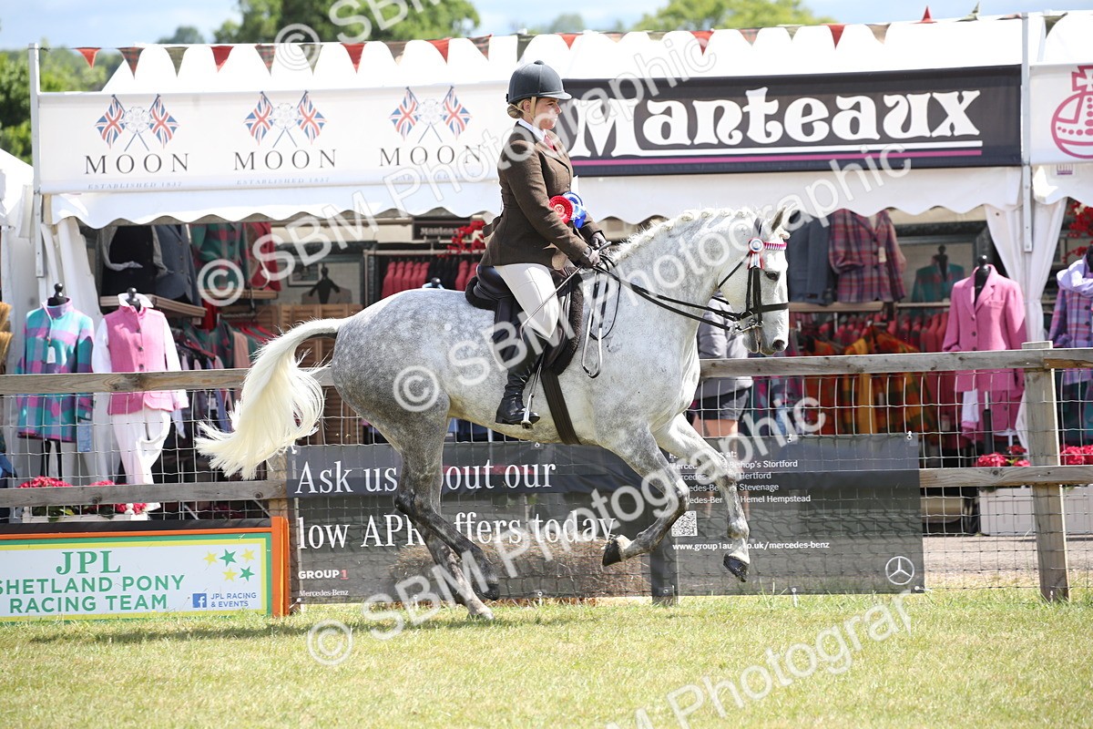 SBM_13351 - Class 95-96 - LIHS BSHA Rising Star Hack Riding Horse