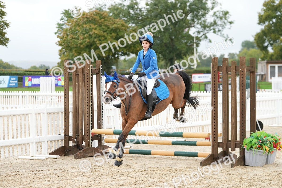 SBM_32404 - J5 - Junior Pony 50cm Championship