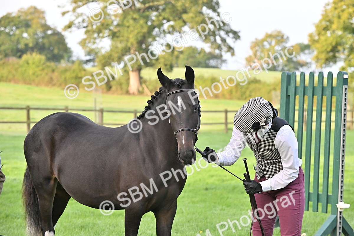 SBM_54616 - S44 - Youngstock In Hand