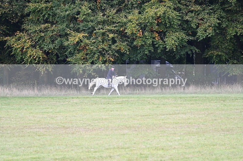 WJ7_4013 - Camera 1 Line 2