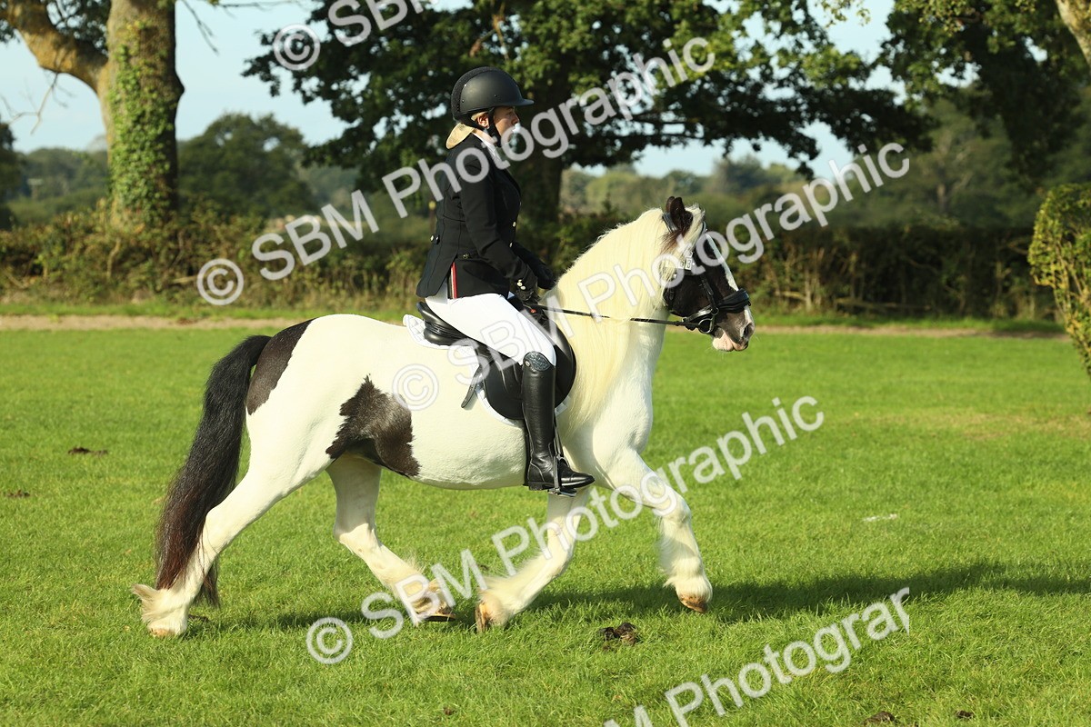 SBM_59816 - S38 - Starters Ridden Showing