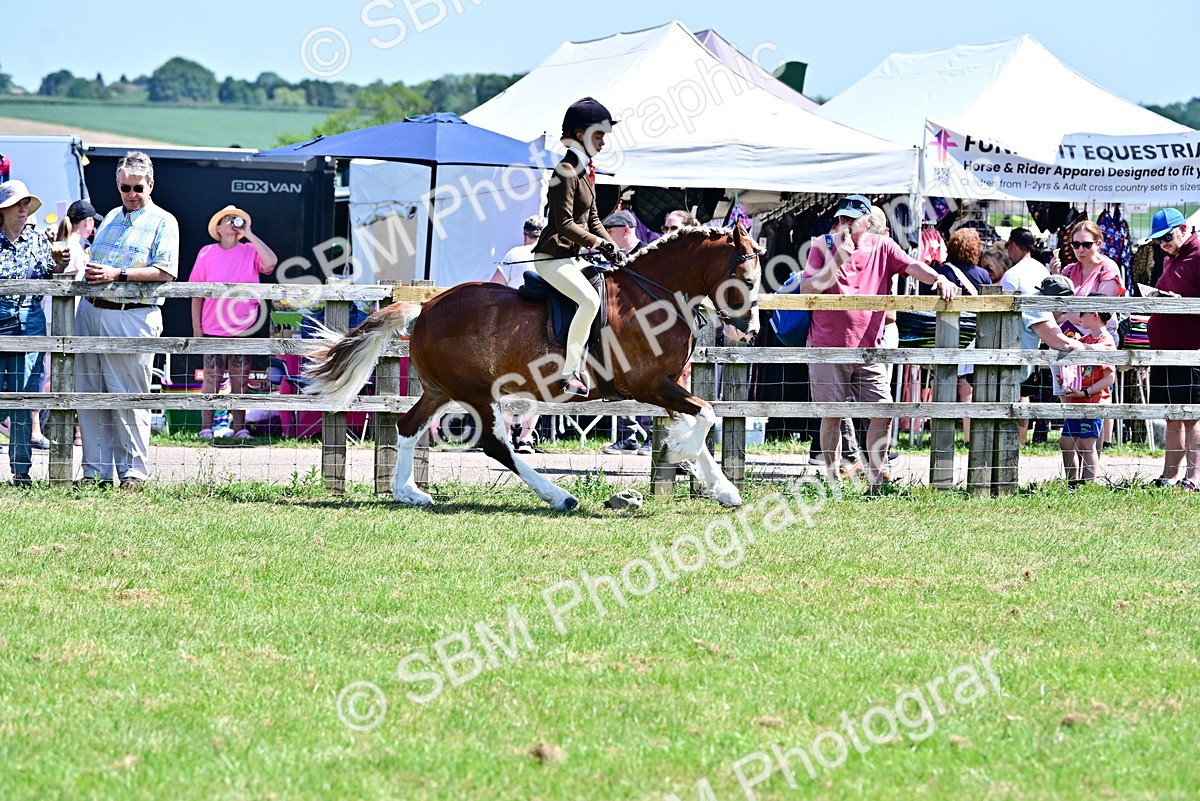 SBM_15292 - Class 95-97 - BSPS LHS Performance Ponies