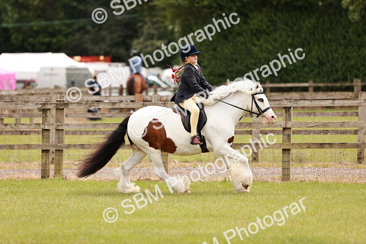 SBM_06237 - Class 39-41 TGCA In Hand and Ridden