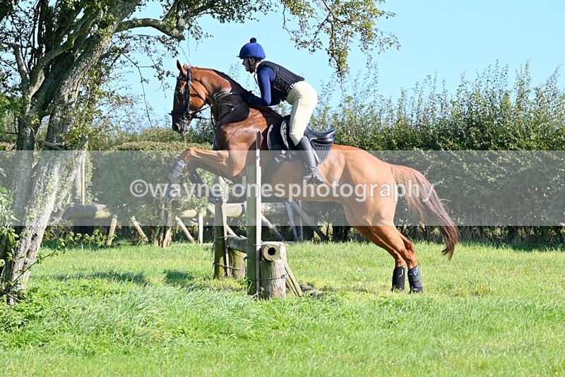 WJ6_6552 - Edited Examples