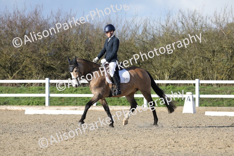 20260314-5868 - DR8 - Elementary 2