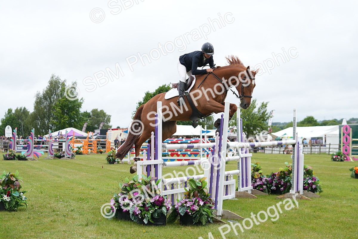 SBM_02990 - Class 201 - British Horse Feeds Speedi Beet Horse of the Year Show Grade  C