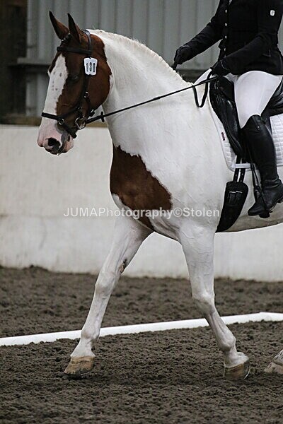 SIAL4511 - CAbin Dressage 5th july 2025
