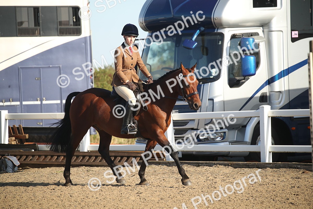 SBM_11572 - Class 502 - Riding Club Horse
