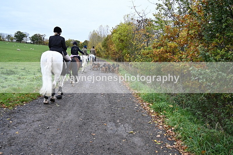 WJ6_9247 - Ride
