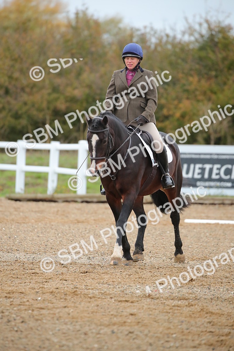 SBM_000435 - Intro 2