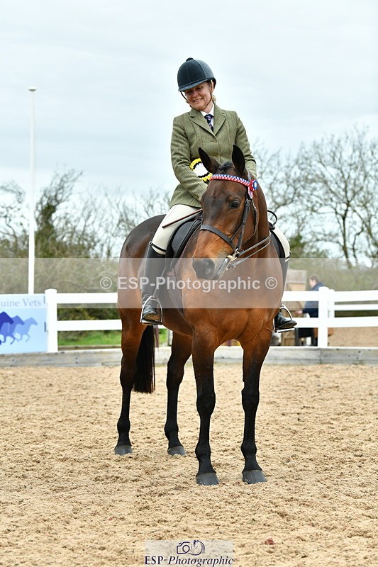 230416A-140058-04988 - Cls 60 Ridden Show Horse